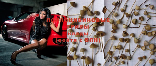 прущая мука Абинск