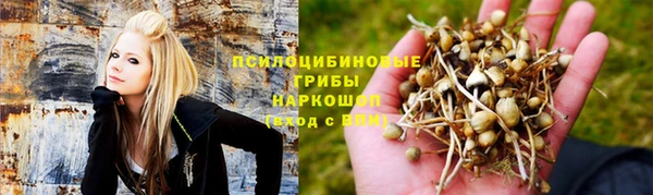 метадон Абаза