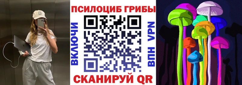 Галлюциногенные грибы мицелий  цена   Куртамыш 